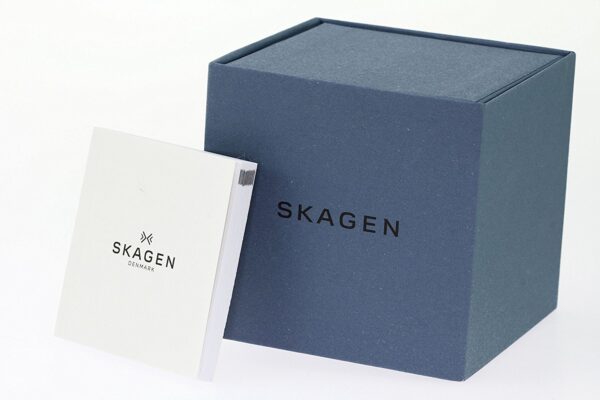 Orologio Solo Tempo Uomo Skagen Holst SKW6239 - immagine 2