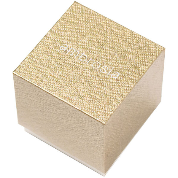 Orecchini Oro Bianco Donna Ambrosia AOZ161 - immagine 2