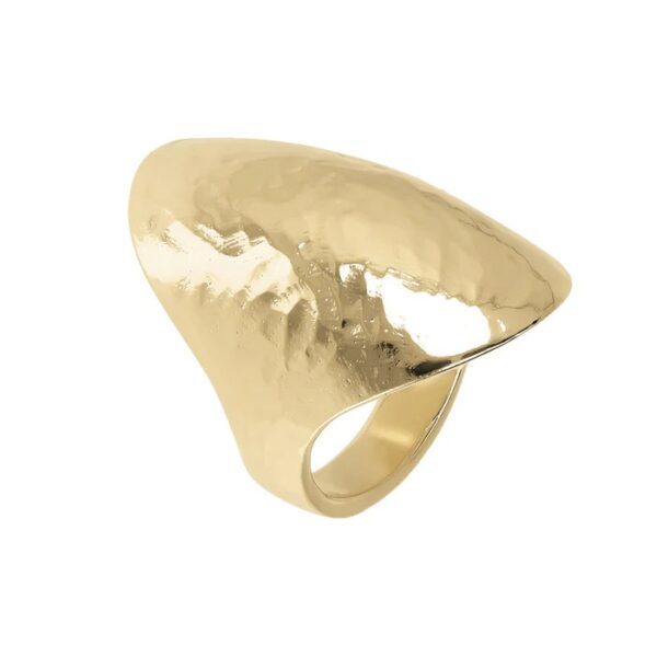 Anello Bronzo Dorato Etrusca WSET00578.YG-16